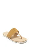 Etienne Aigner Women's Palma Leather Thong-toe Sandals In Golden