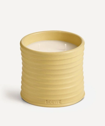 Loewe Medium Honeysuckle Candle 610g In Yellow