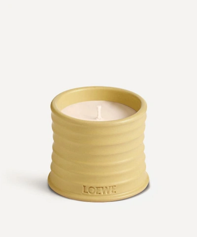 Loewe Honeysuckle Scented Candle 170g In Yellow
