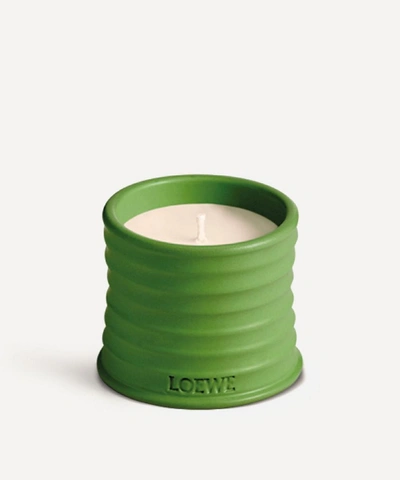 Loewe Luscious Pea Scented Candle 170g In Green