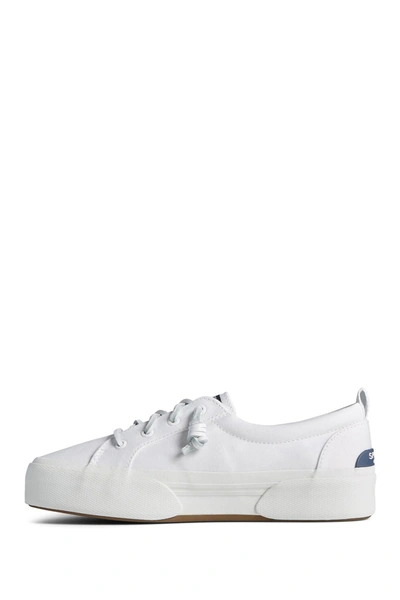 Sperry Pier Wave High Lace To Toe Sneaker In White