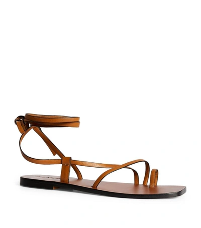 A.emery Leather Beau Sandals In Brown