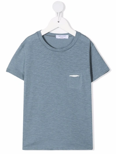 Opililai Kids' Ripped Short-sleeved T-shirt In Blue