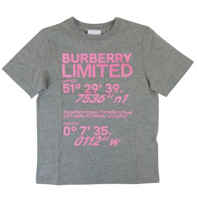 Burberry Kids' Logo棉质t恤 In Grey