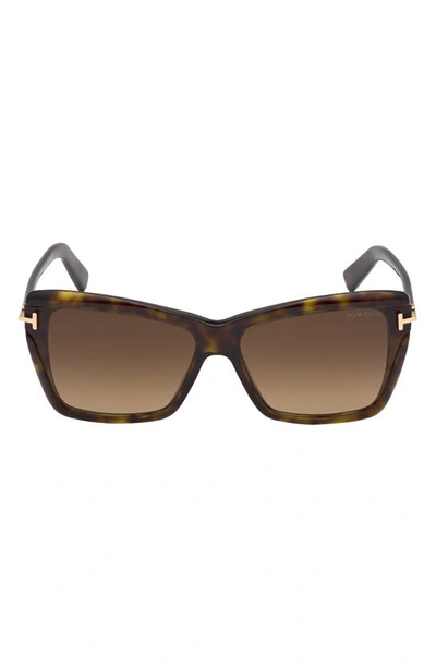 Tom Ford Leah 64mm Gradient Polarized Oversize Butterfly Sunglasses In Dark Havana / Gradient Brown