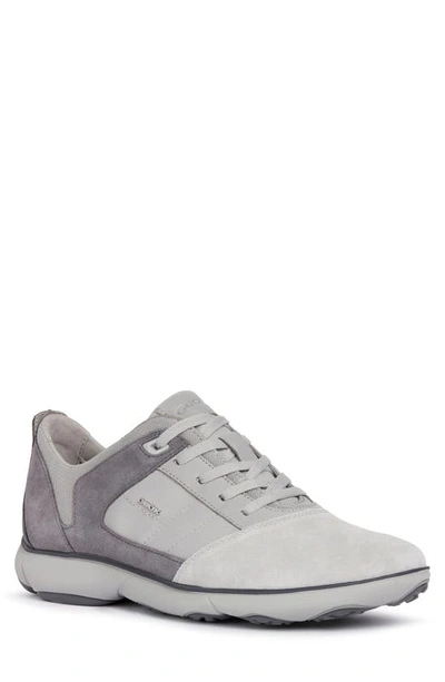 Geox Nebula Sneaker In Grey/ Grey