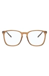 Ray Ban 52mm Square Optical Glasses In Trans Grn