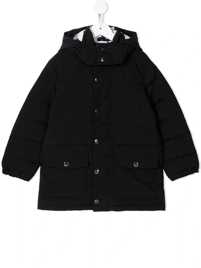 Dolce & Gabbana Kids' Padded Hooded Coat In Black