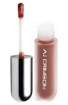 Aj Crimson Beauty Office Politics Liquid Lip Gloss In Ccd