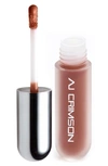 Aj Crimson Beauty Office Politics Liquid Lip Gloss In Reply All