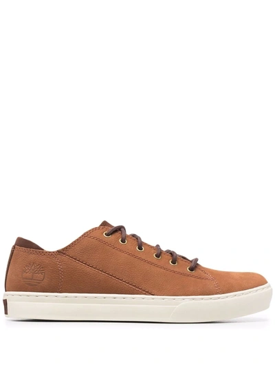 Timberland Flatform Suede Sneakers In Brown