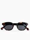 IZIPIZI C SUN TORTOISE SUNGLASSES