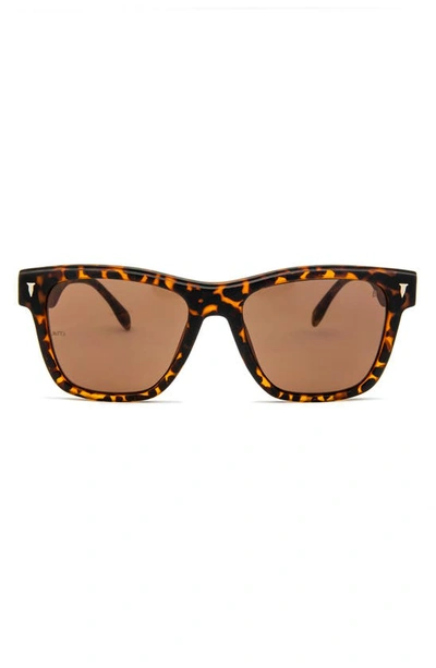 Mita The Wave 50mm Square Sunglasses In Matte Tortoise / Brown