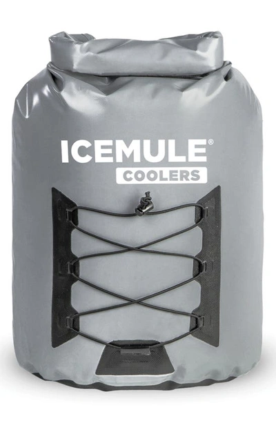 Icemule Pro Large Waterproof Cooler Backpack In Grey