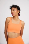 Girlfriend Collective Horizon Tommy Cropped Bra In Multicolor