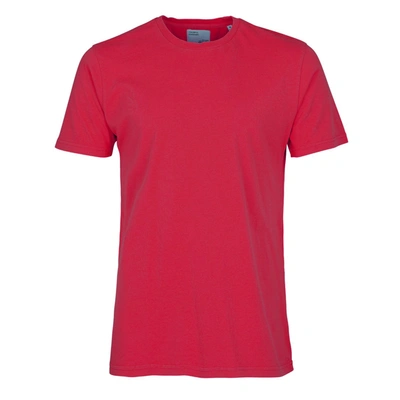 Colorful Standard Classic Organic Tee Scarlet Red