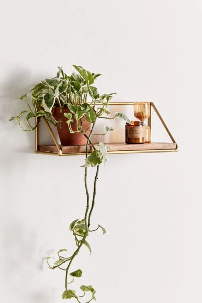 Urban Outfitters Addison Metal Bracket Wood Wall Shelf In Gold