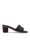 CARRIE FORBES BOU SANDAL,CAFO-WZ21