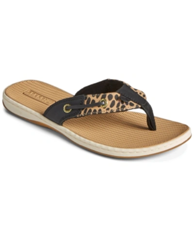 Sperry Women's Seafish Flip-flop Sandal, Created For Macy's In Black Multi