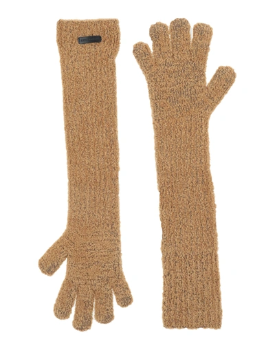 Burberry Ladies Long Length Knit Gloves In Yellow