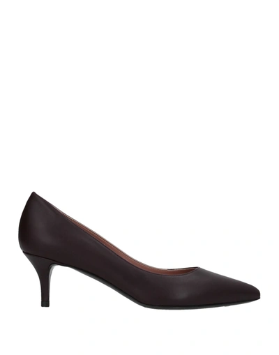 Pollini Pumps In Dark Brown