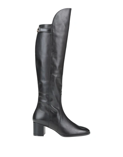 Elisabetta Franchi Knee Boots In Black