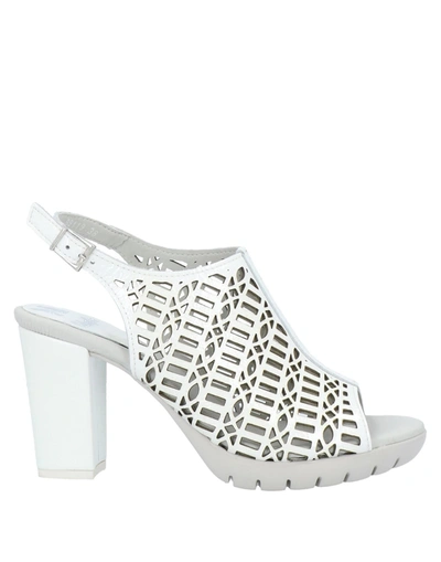 Callaghan Sandals In White