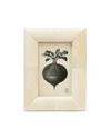 Pigeon & Poodle Vannes 4x6 Picture Frame In Natural