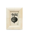 Pigeon & Poodle Vannes 4x6 Picture Frame