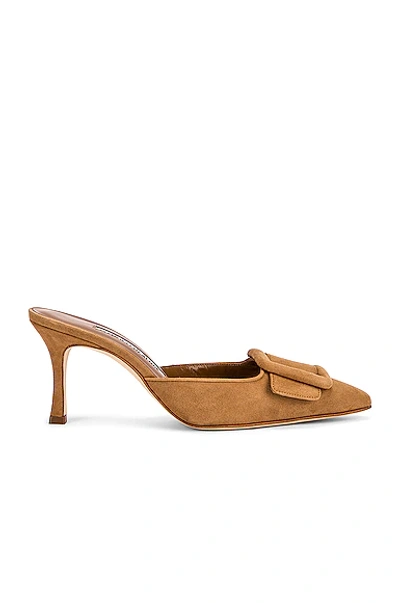 Manolo Blahnik Maysale 70 Mule In Light Brown