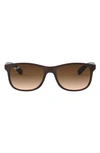 Ray Ban Youngster 55mm Gradient Sunglasses In Brown