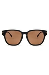 Mita Key West 55mm Square Sunglasses In Shiny Black / Brown