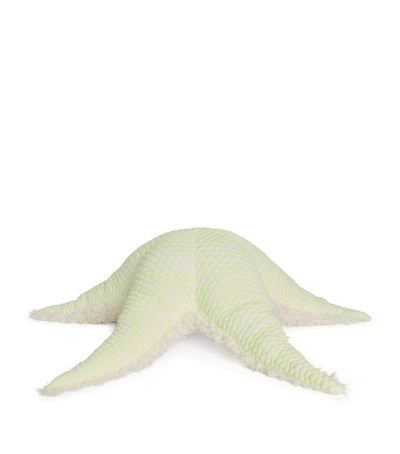 Bigstuffed Kids'  Big Neon Seastar (26cm) In Multi