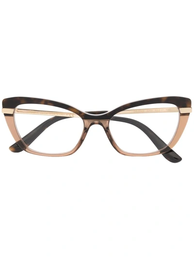 Dolce & Gabbana Two-tone Cat-eye Glasses In Gold