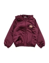 Dolce & Gabbana Kids' Jackets In Deep Purple