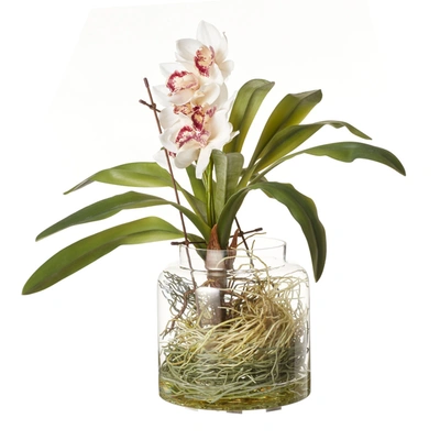 Oka Faux Cymbidium Orchids With Vase - Cream In Green