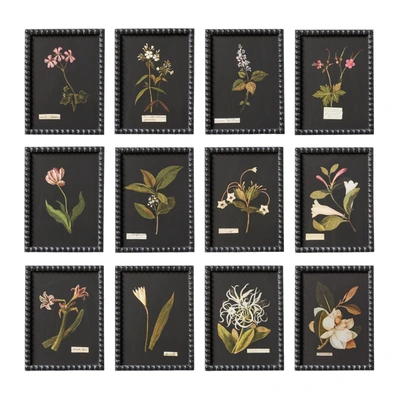 Oka Set Of Twelve Framed Flower Botanical Prints
