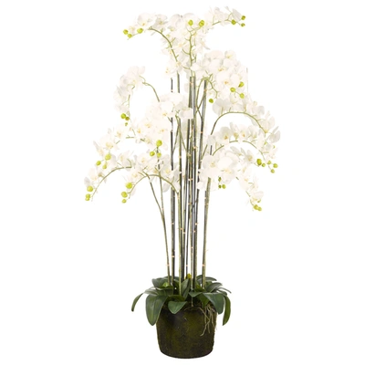 Oka Faux Giant Phalaenopsis Orchid - White