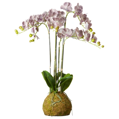 Oka Large Faux Planted Phalaenopsis Gigantea Orchid- Purple