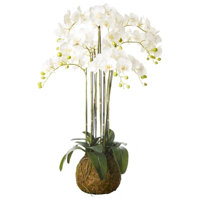 Oka Large Faux Planted Phalaenopsis Orchid - White