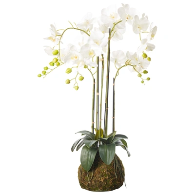 Oka Medium Faux Planted Phalaenopsis Orchid - White