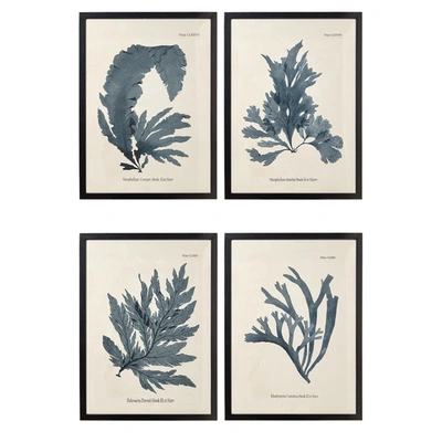 Oka Set Of Four Seaweed Framed Prints - Blue In Multi