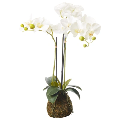 Oka Small Faux Planted Phalaenopsis Orchid - White