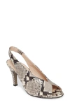 Paul Green Avanti Peep Toe Slingback Sandal In Pebble Snake