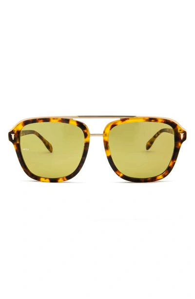 Mita Lincoln 57mm Square Sunglasses In Shiny Brown Demi / Green
