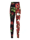 Dolce & Gabbana Leggings With Rose And Anemone Print In Multi