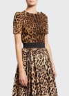 Dolce & Gabbana Short-sleeved Leopard-print Cady Top In Leopard