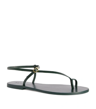 A.emery Lily Black Leather Thong Sandals In Black,neutral