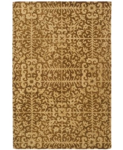 Safavieh Antiquity At411 Gold And Beige 4' X 6' Area Rug