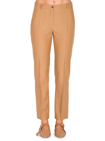 Agnona Eternals New York Wool Pants In Vicuna